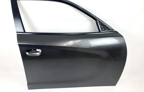 Dodge Charger Front door