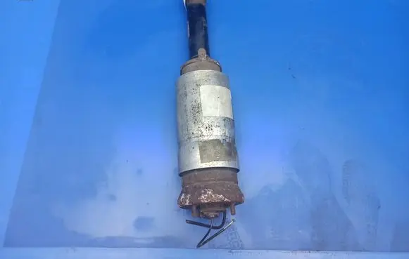 Land Rover Range Rover Sport L320 Air suspension front shock absorber 22249855 3496894