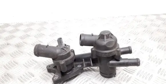 Thermostat/thermostat housing