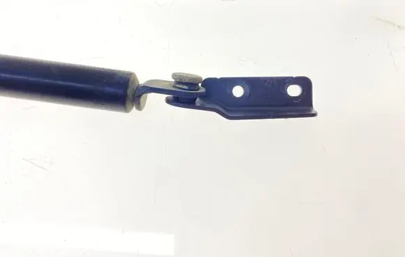 Subaru Forester SF Tailgate strut 