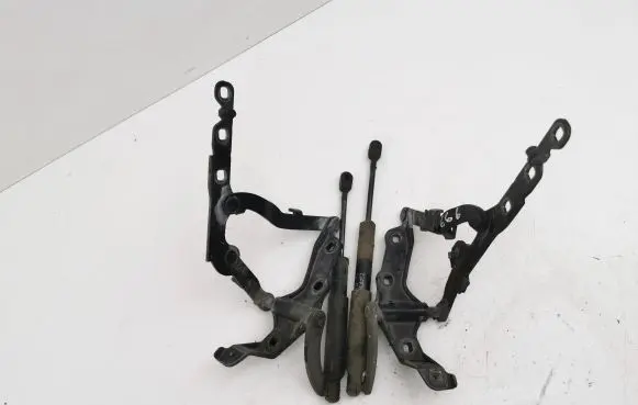 Mercedes-Benz S W221 Engine bonnet/hood hinges A2218800328 A2218800428