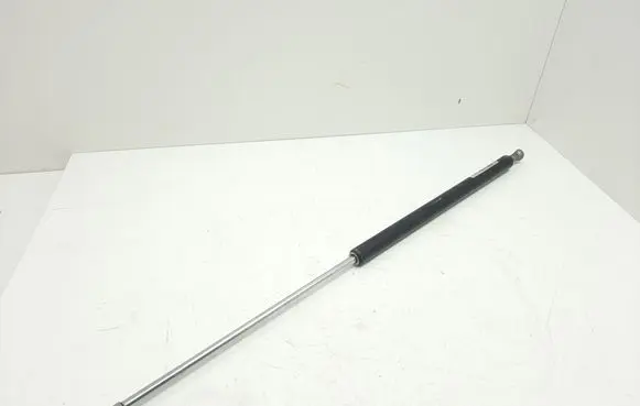 Tailgate/trunk strut/damper