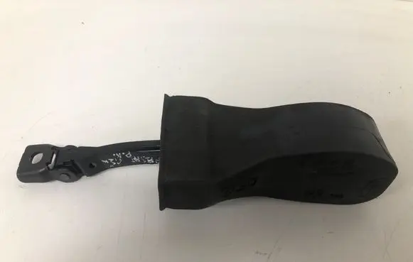 Volkswagen PASSAT B8 Front door check strap stopper 3G0839267