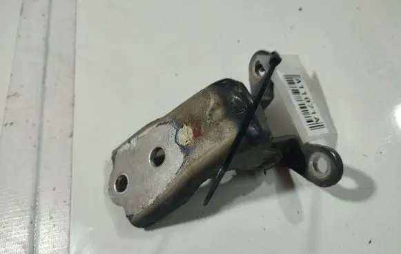 Chevrolet Captiva Rear door lower hinge 