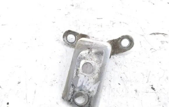 Toyota Hilux (AN10, AN20, AN30) Rear door lower hinge