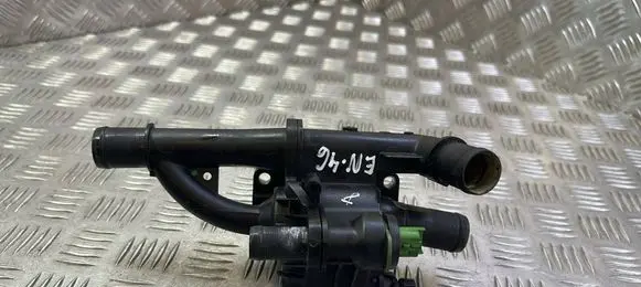 Thermostat/thermostat housing