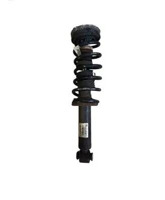 BMW X3 F25 Rear shock absorber with coil spring 6796317