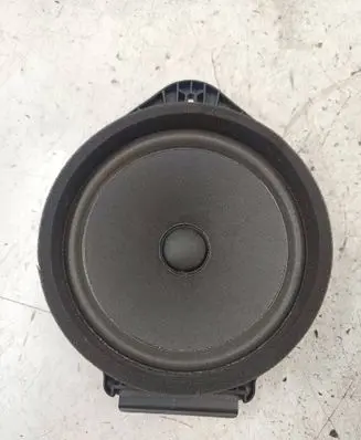 Opel Insignia A Front door speaker 13257499 090520 434107863731