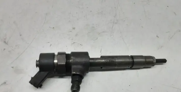 Fiat Multipla Fuel injector 0445110002