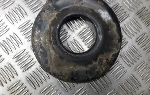 Coil spring mount