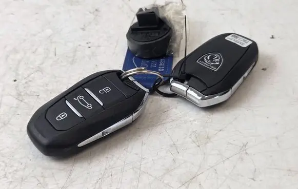 Peugeot 308 Ignition key/card 9842119480 41273 E479841