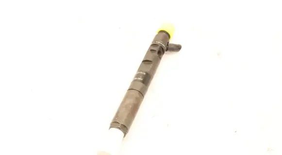 Renault Megane III Fuel injector EJBR05102D