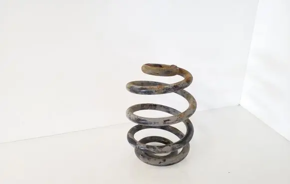 Rear coil spring