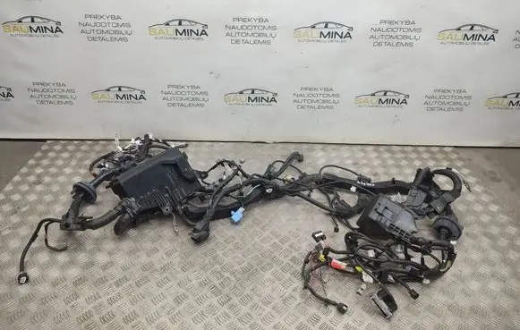 Toyota RAV 4 (XA50) Engine installation wiring loom 8262033150 8266242651 8917311010