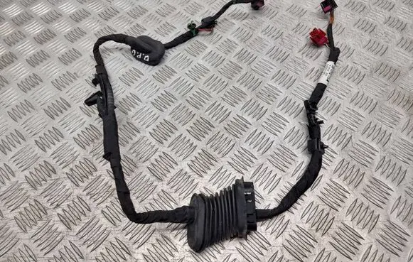 Volkswagen Phaeton Rear door wiring loom 3D0971615 C157201023 003701EK