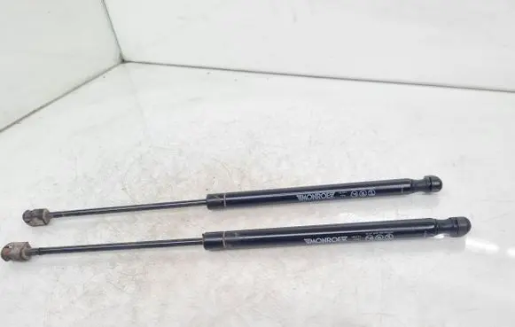 Tailgate/trunk strut/damper