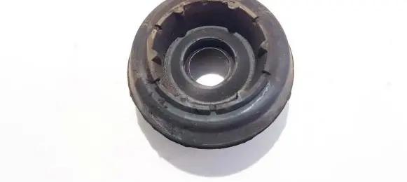 Coil spring mount