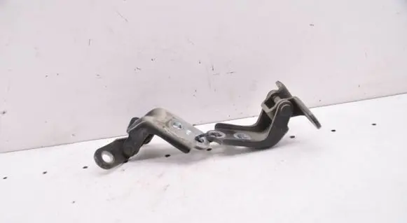 KIA Optima Front door upper hinge 