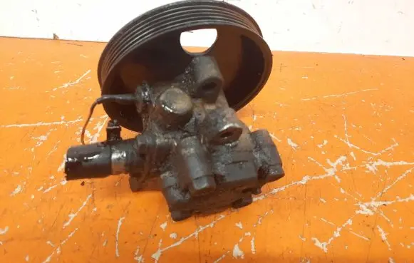 Hyundai Santa Fe Power steering pump