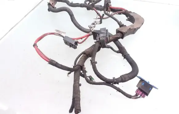 Engine installation wiring loom
