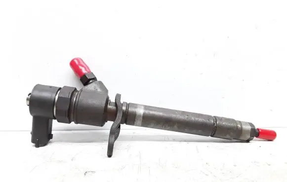 Volvo S80 Fuel injector 0445110298 30777526