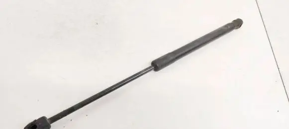 Renault Megane II Front bonnet/hood damper/strut 2472NO0500N