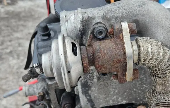 Volkswagen PASSAT B5 EGR valve 028131501E