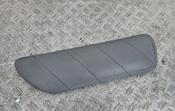 Toyota Land Cruiser (J100) Rear door card trim 
