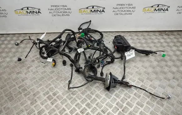 Renault Zoe Engine installation wiring loom 403885137R
