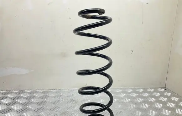 Rear coil spring