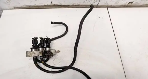 Mercedes-Benz CLS C219 LP gas injector 110R000005