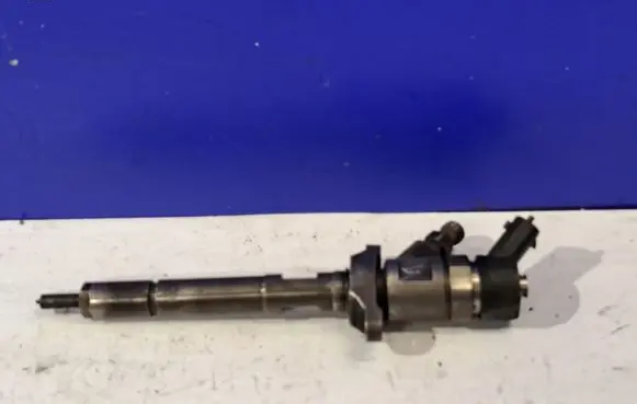 Volvo V50 Fuel injector 0445110259 30757314