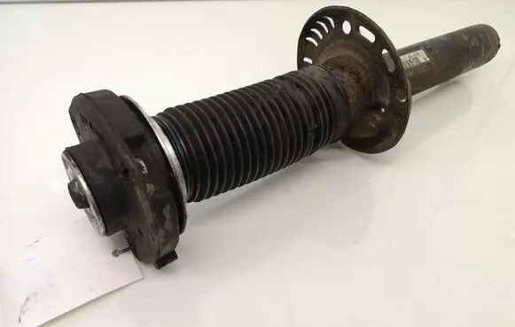 Volkswagen PASSAT B6 Front shock absorber/damper 3C0413031AC