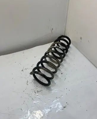 Rear coil spring