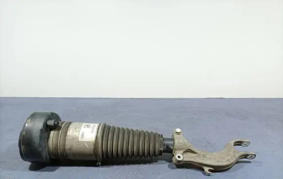 Audi A8 S8 D2 4D Front shock absorber/damper 4N4616039F