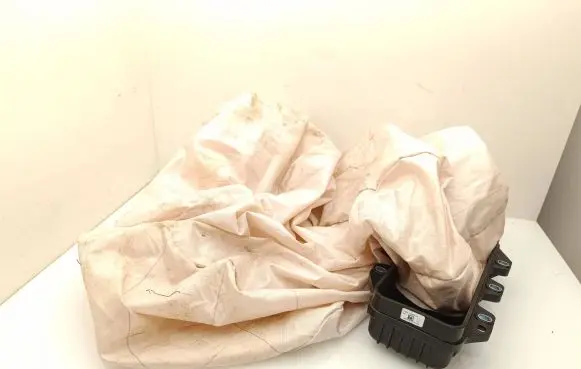 Volkswagen ID.4 Passenger airbag 5LA880204F 20223410645