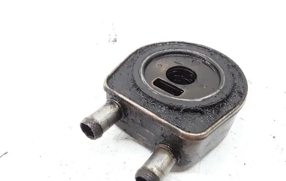 Renault Laguna II Oil filter mounting bracket