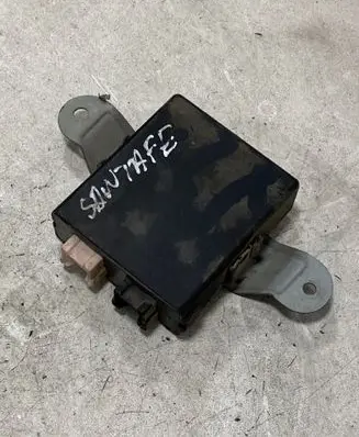 Hyundai Santa Fe Other control units/modules 9875026000