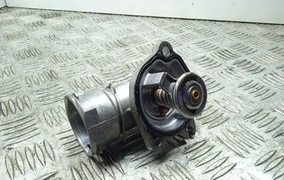 Thermostat/thermostat housing