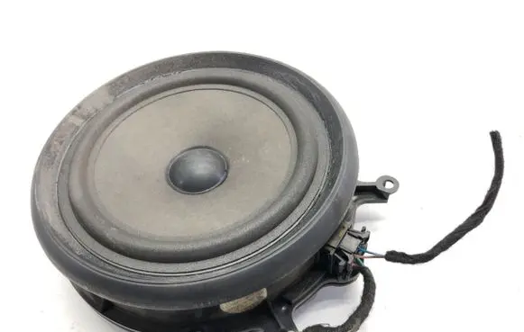 Front door speaker