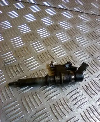Peugeot Partner Fuel injector 9652173780