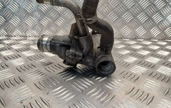 Thermostat/thermostat housing