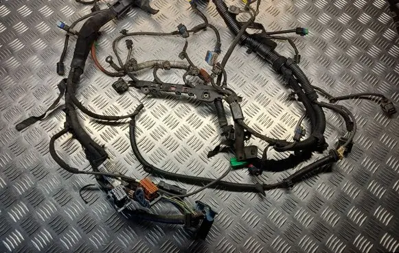 Engine installation wiring loom
