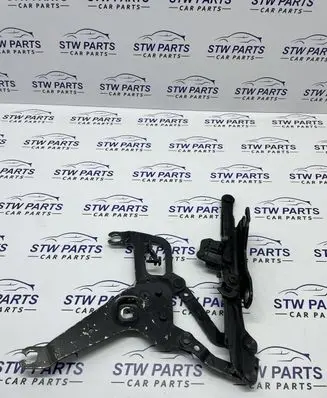 BMW X5 F15 Engine bonnet/hood hinges 7294530