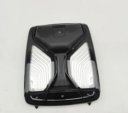 BMW X5 G05 Front seat light 5B32479 28820714
