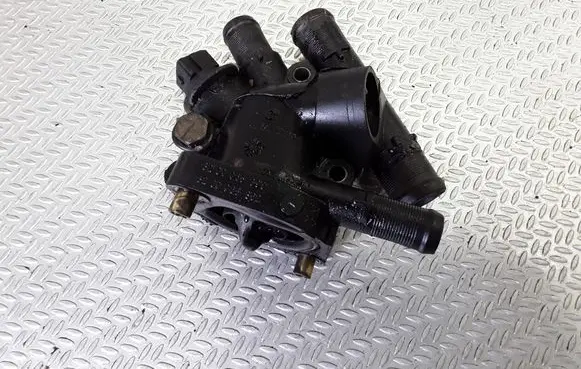 Thermostat/thermostat housing