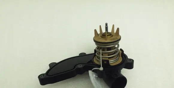 Thermostat/thermostat housing