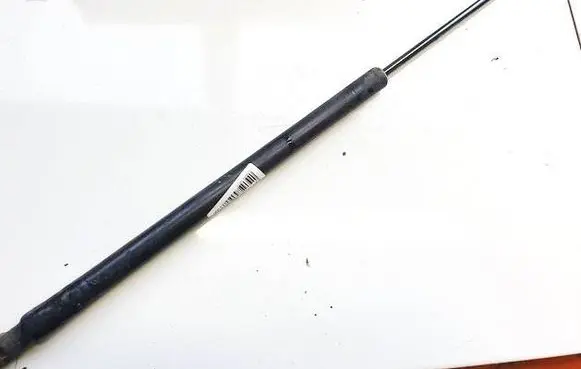Tailgate/trunk strut/damper