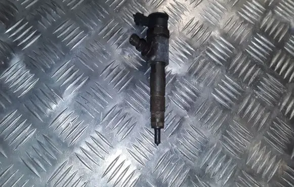 Citroen C3 Picasso Fuel injector 0445110340