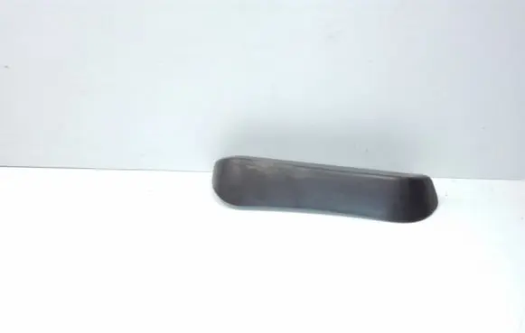 Rear/tail light trim molding